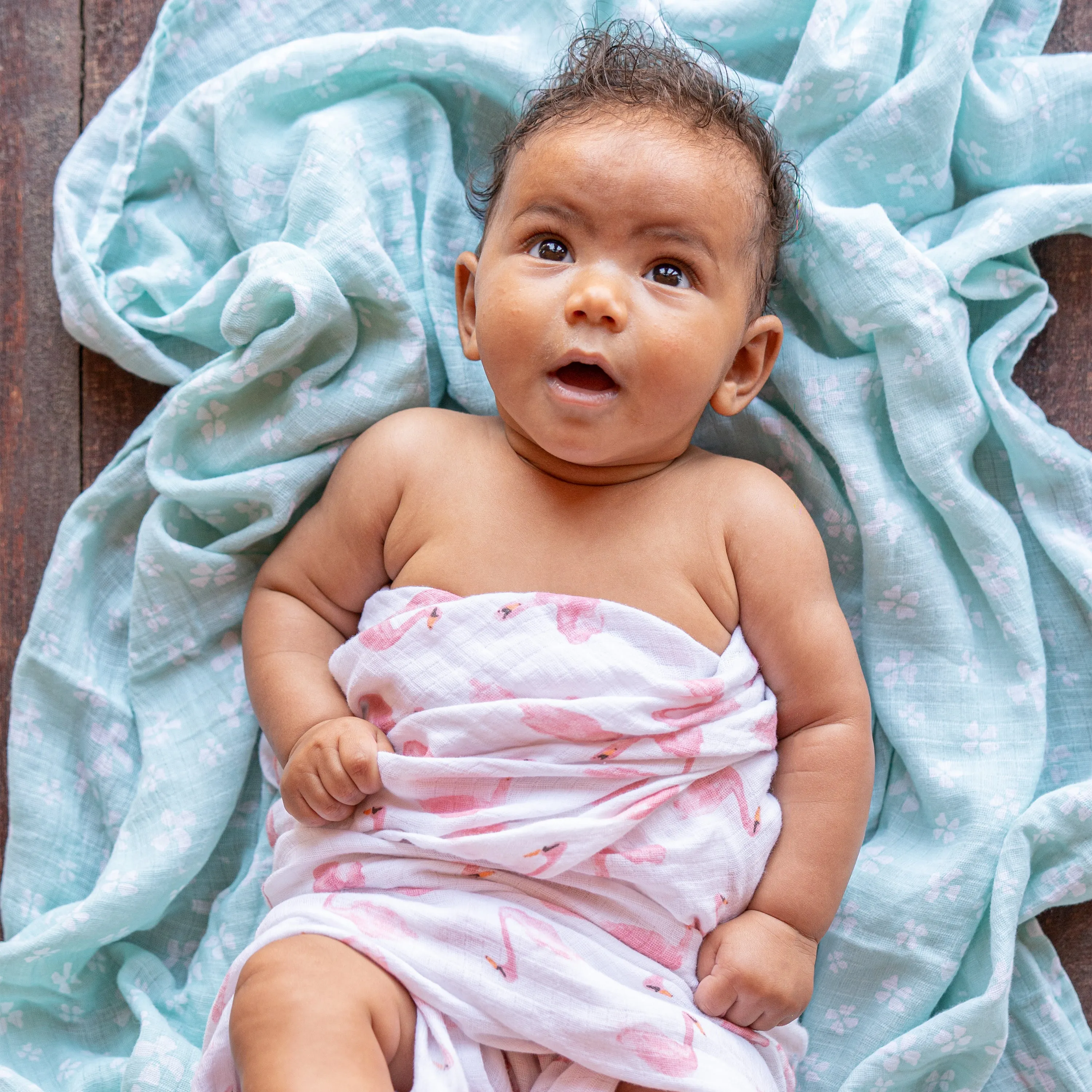 aden   anais Muslin Swaddles 4 pack Briar Rose Pink