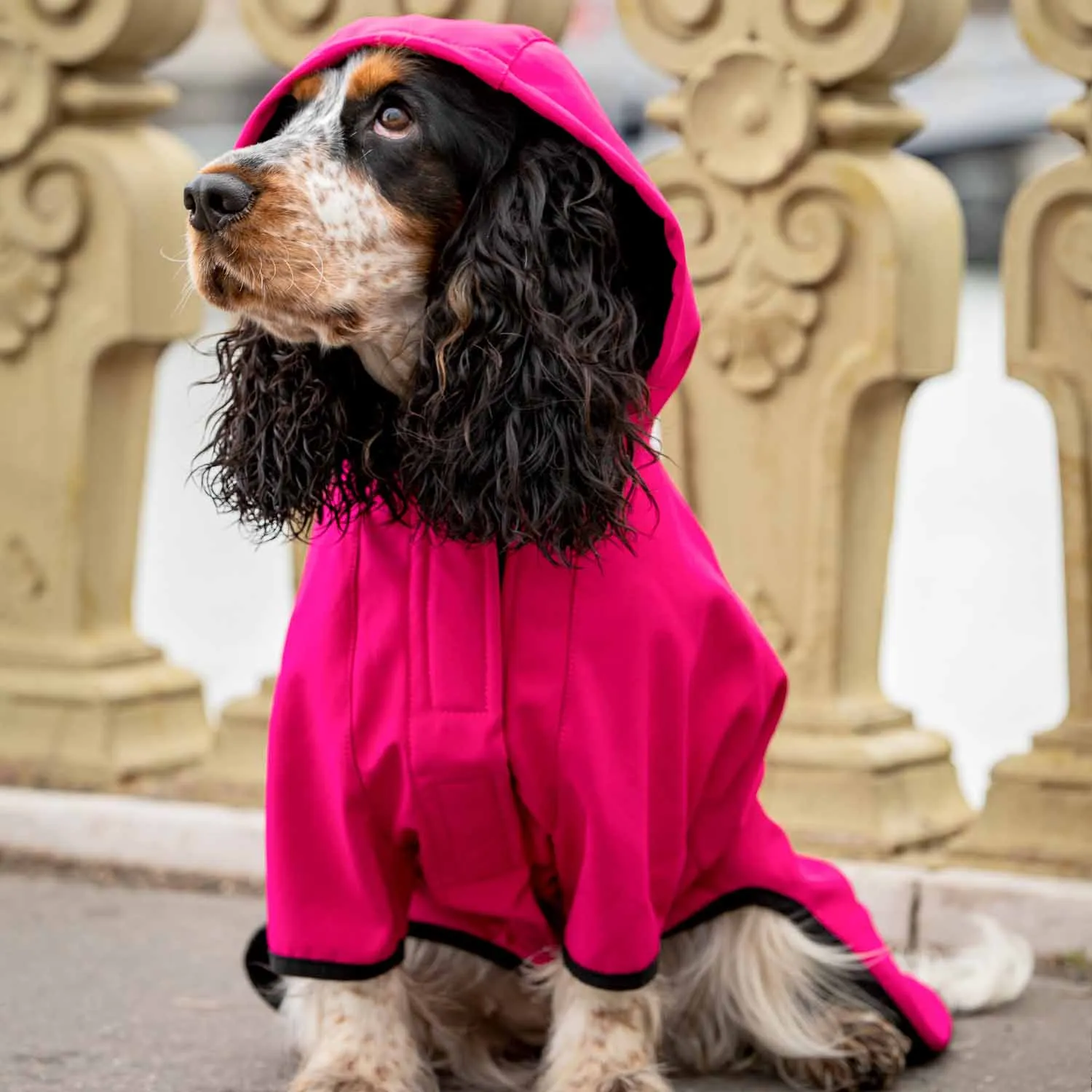Waterproof Dog Softshell Jacket Hooded Raincoat Windbreakers