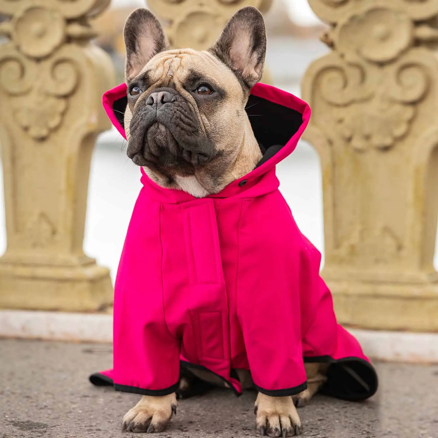 Waterproof Dog Softshell Jacket Hooded Raincoat Windbreakers