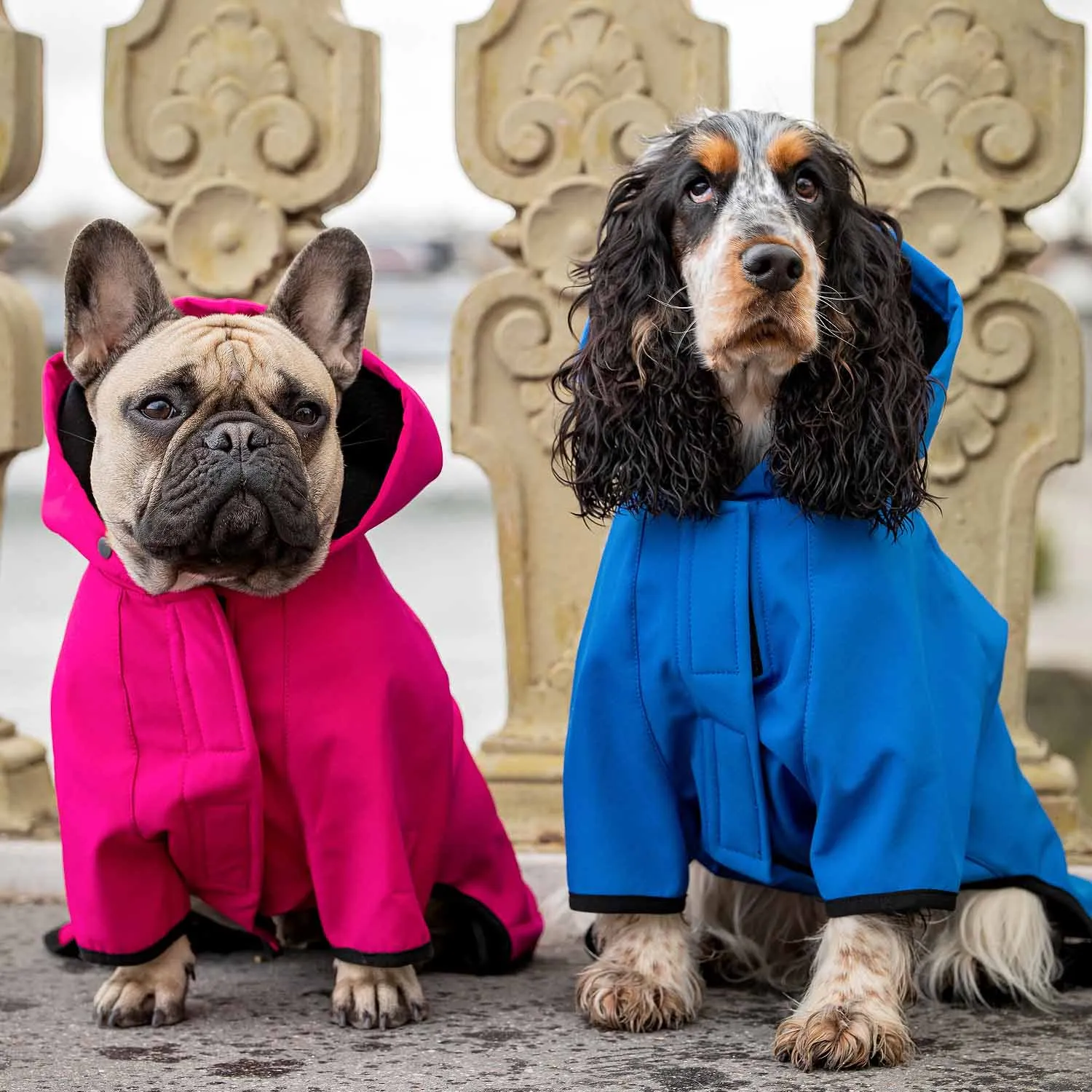 Waterproof Dog Softshell Jacket Hooded Raincoat Windbreakers